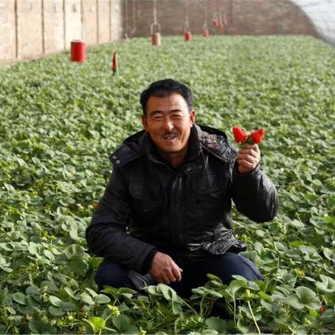 独家揭秘：王蓝莓的烧烤摊，无限钞票免广告，暴利背后的惊人秘密！