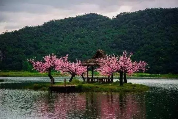 走进十里桃花的浪漫三生三世，揭秘古代人文情感与自然环境的完美交融