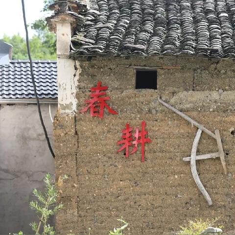(手游野外求生游戏)探秘未知：用手机版的野外求生游戏，开启随时随地的生存挑战