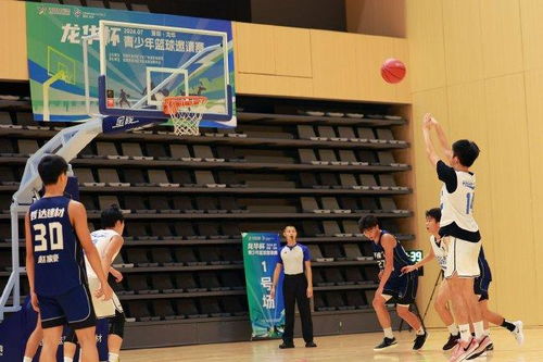 (龙之传奇基本攻略怎么写)全面解析龙之传奇攻略：从新手入门到高手进阶的全方位指南