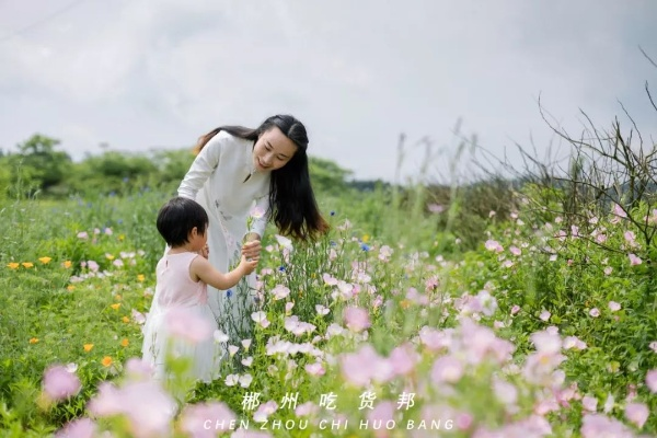 在花田故事中绽放的幸福时光：探寻自然之美与人文情感的完美交融